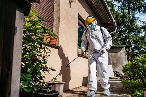 Best Commercial Pest Control Services  in Holly Lake Ranch, TX