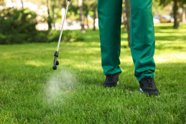 Best Cockroach Control Services  in Holly Lake Ranch, TX